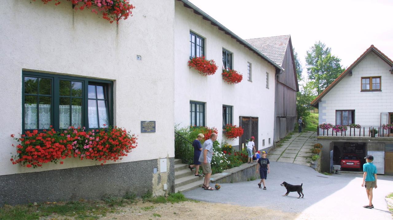 Ferienhof Stanzl Rappottenstein Exterior foto