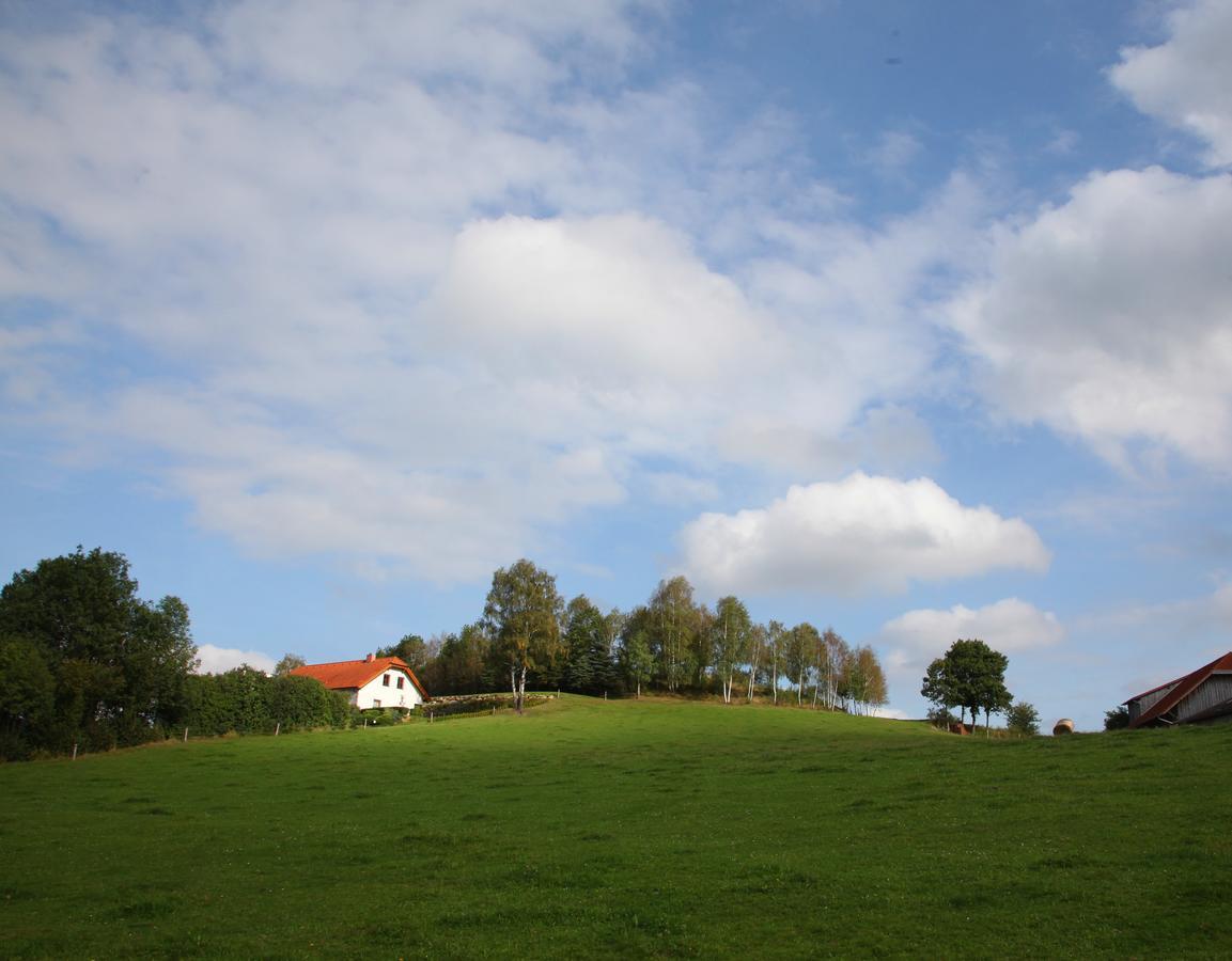 Ferienhof Stanzl Rappottenstein Exterior foto